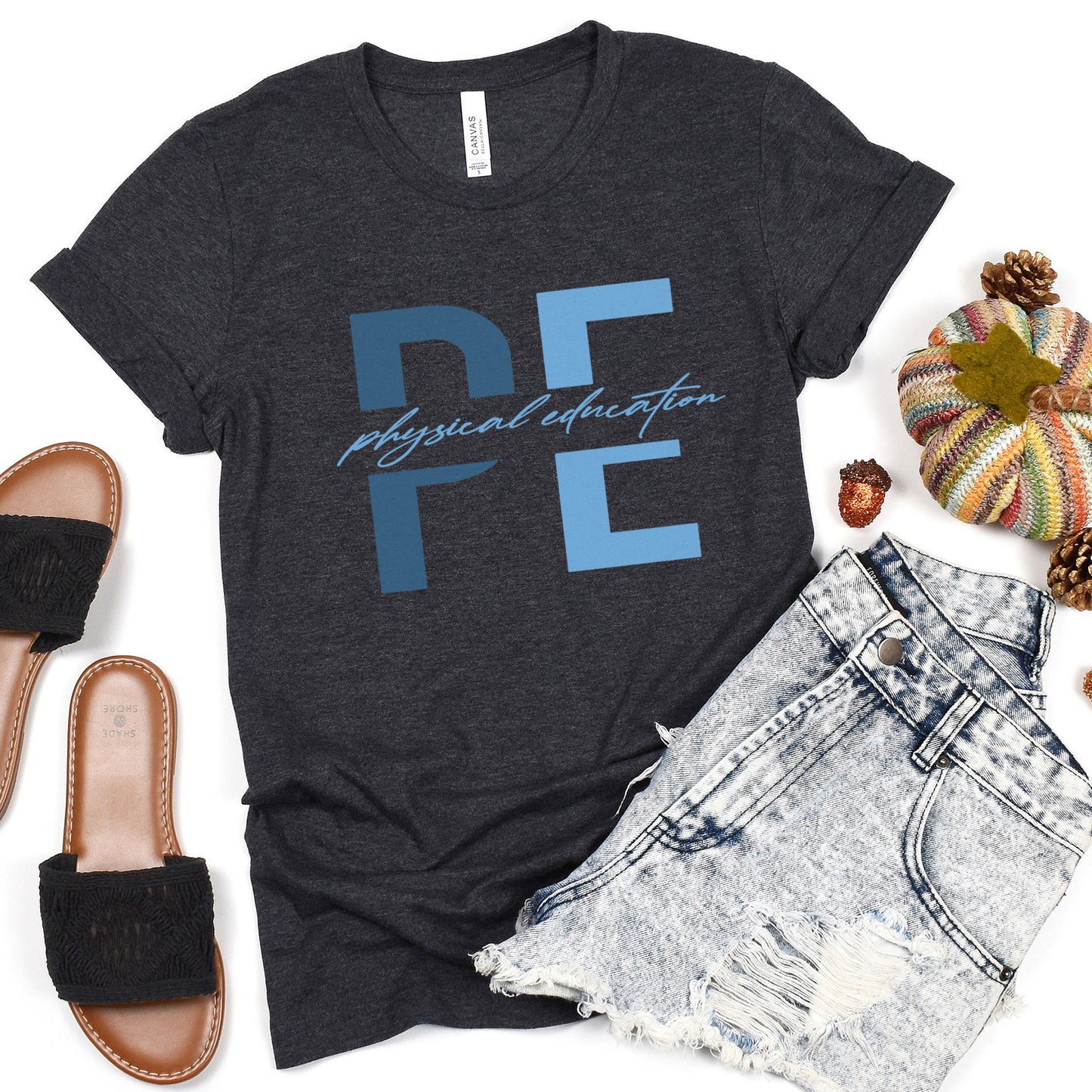 Physical Education Teacher Shirt, PE Teacher, PE Teacher Team Blue Tee, 2022 Cute Grade Level Gym Elementary Teach School Tee, Family Gift