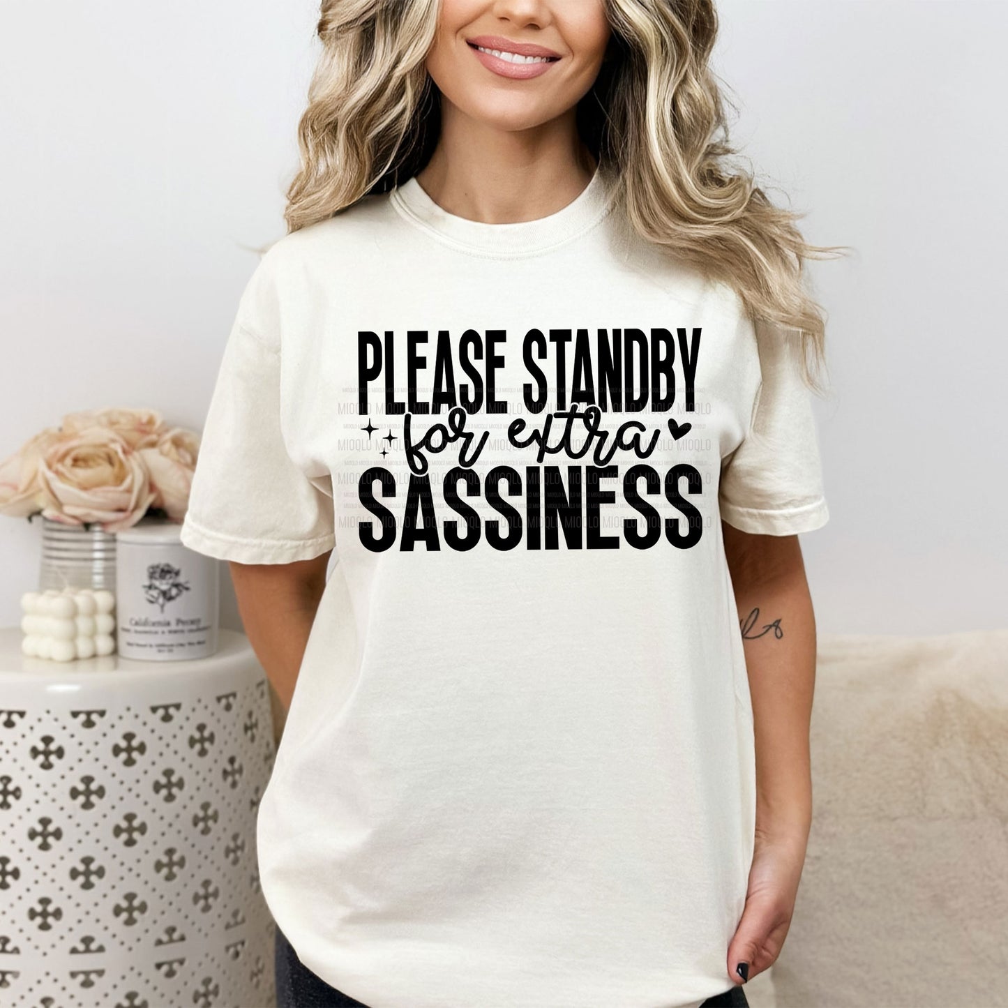 Please Standby For Extra Sassiness, Boho Funny Sayings Sublimation PNG Digital Downloads